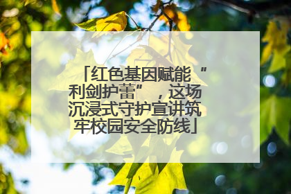 红色基因赋能“利剑护蕾”，这场沉浸式守护宣讲筑牢校园安全防线